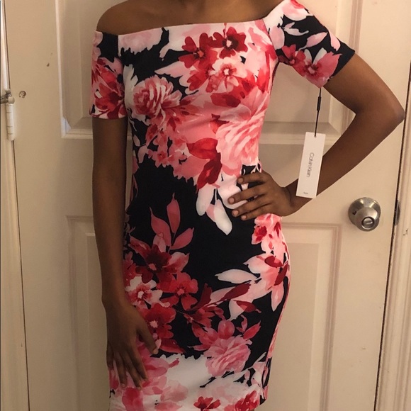 Calvin Klein Day Dress - Picture 1 of 3